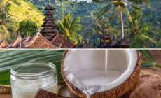 La noix de coco à Bali - Canva Pro