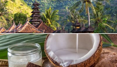 La noix de coco à Bali - Canva Pro