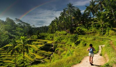 Tegallalang - kefkenadasi - Getty Images Pro