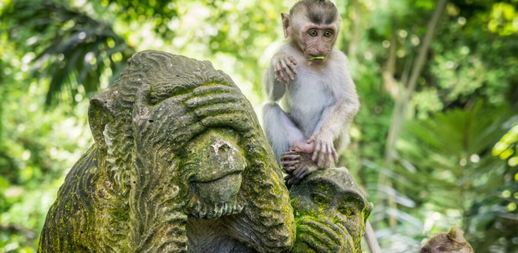 Ubud - Hausner - Getty Images